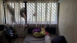 Blk 36 Bedok South Parkview (Bedok), HDB 3 Rooms #559396321
